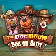 The Dog House - Dog Or Alive